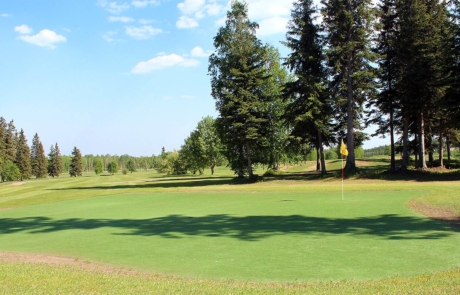 Seven-spruce-golf-course-tee