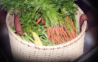 garden-vegetable-basket